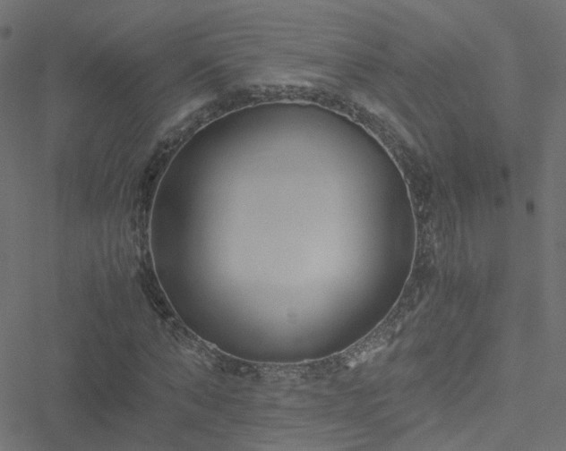 X0000051250870200506241544