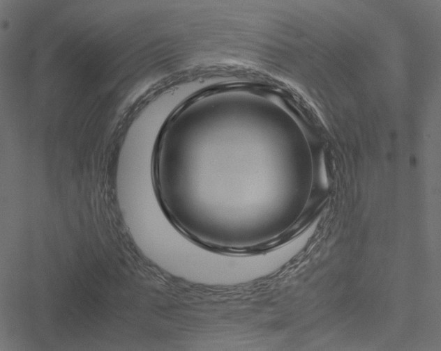 X0000051250871200506241544