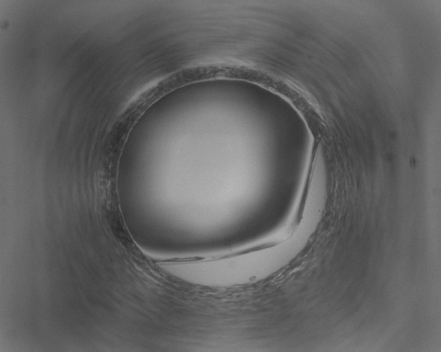 X0000051250872200506241544