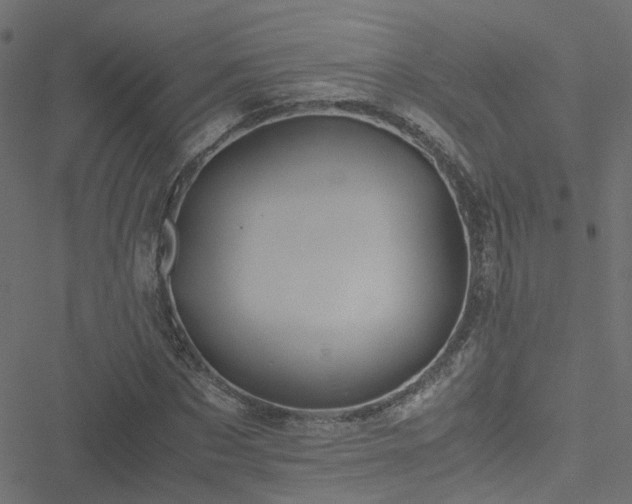 X0000051250873200506241544