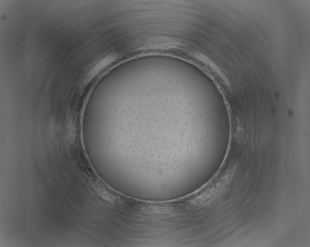 X0000051250874200506241544