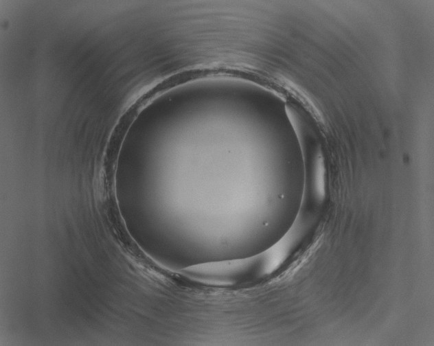 X0000051250876200506241544