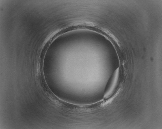 X0000051250877200506241544