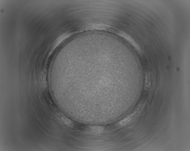 X0000051250878200506241544