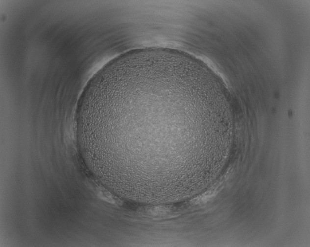 X0000051250879200506241544