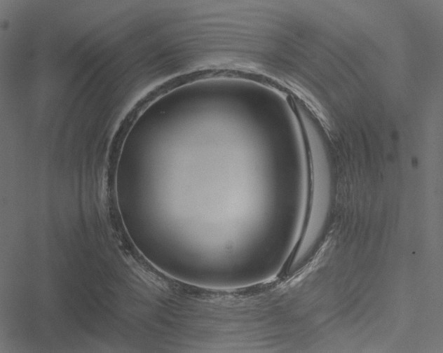 X0000051250880200506241544