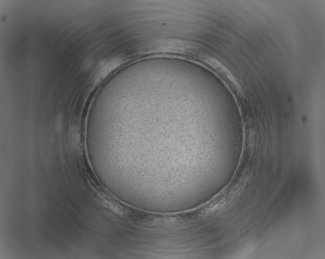 X0000051250882200506241544