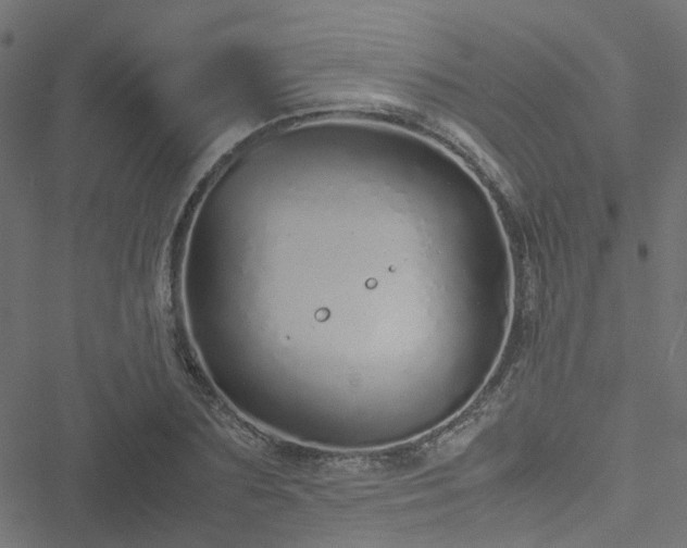 X0000051250883200506241544