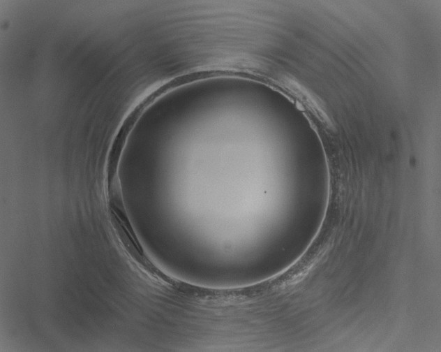 X0000051250884200506241544