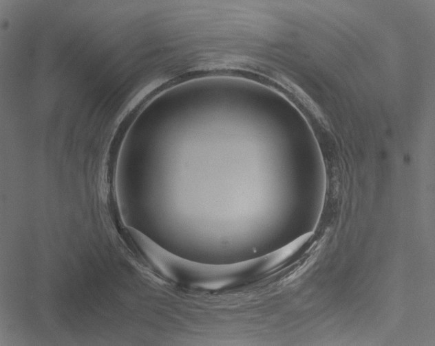 X0000051250885200506241544