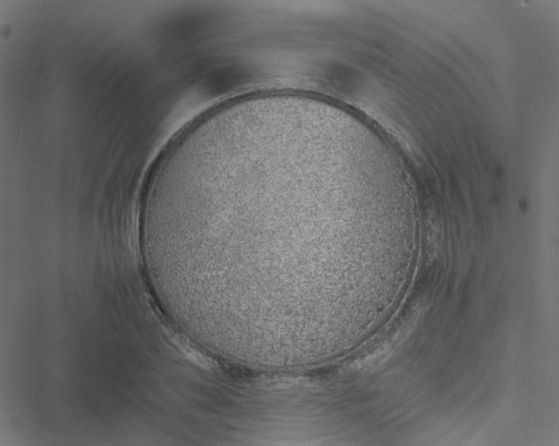 X0000051250886200506241544