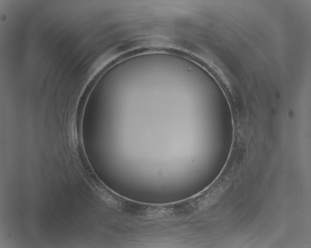 X0000051250887200506241544