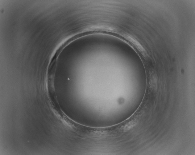 X0000051250888200506241544