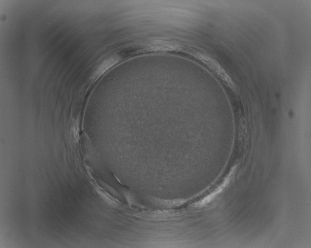 X0000051250889200506241544