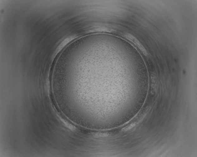 X0000051250890200506241544