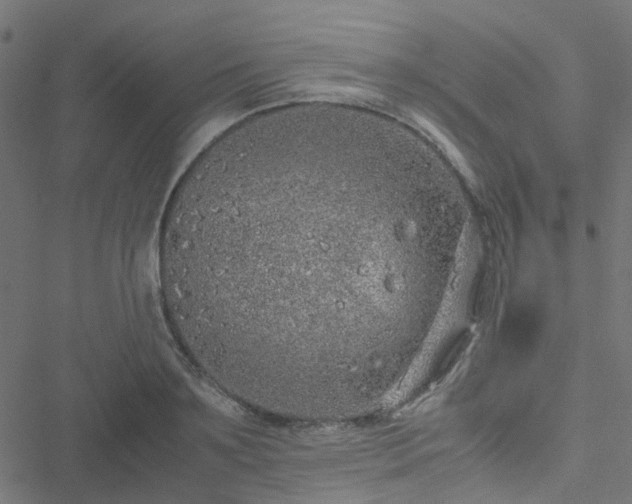 X0000051250891200506241544