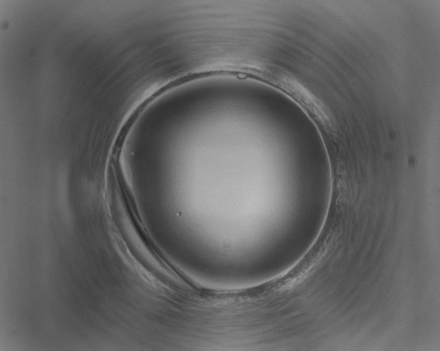 X0000051250892200506241544