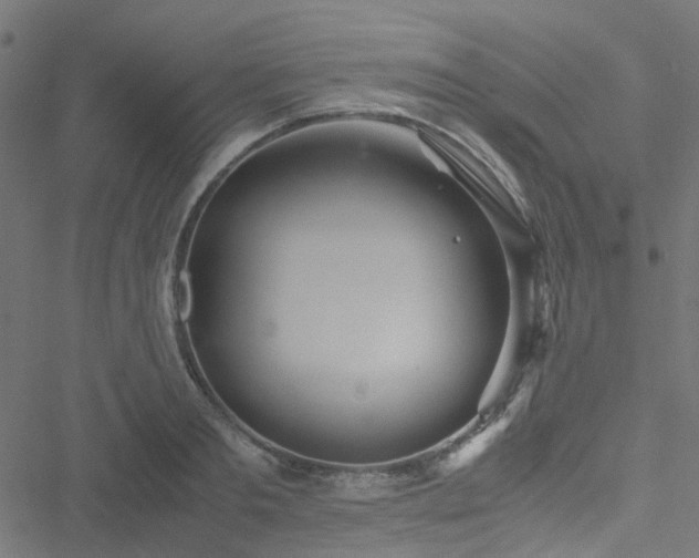 X0000051250893200506241544