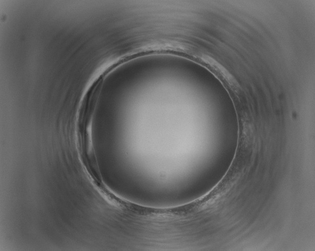 X0000051250894200506241544