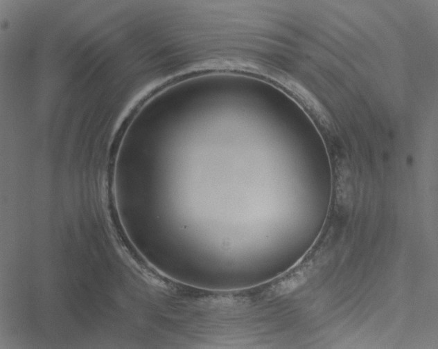 X0000051250896200506241543