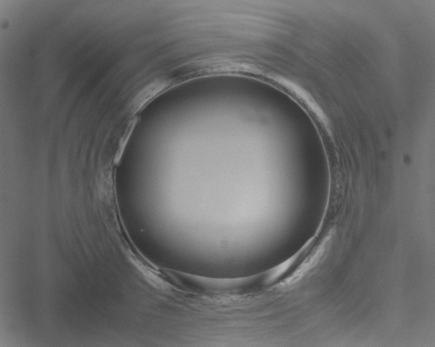 X0000051250897200506241543