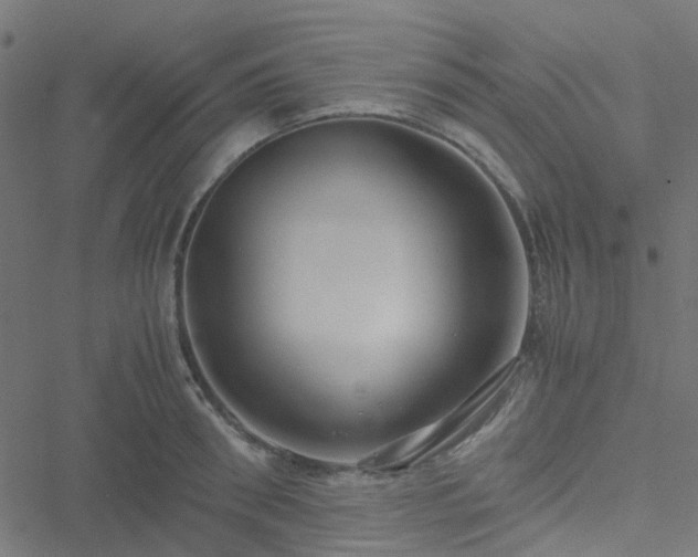 X0000051250898200506241543