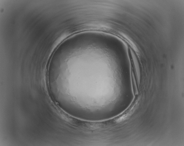 X0000051250899200506241543