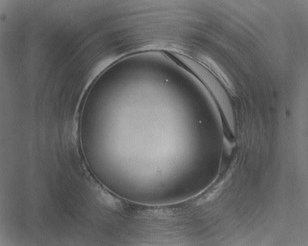 X0000051250900200506241543