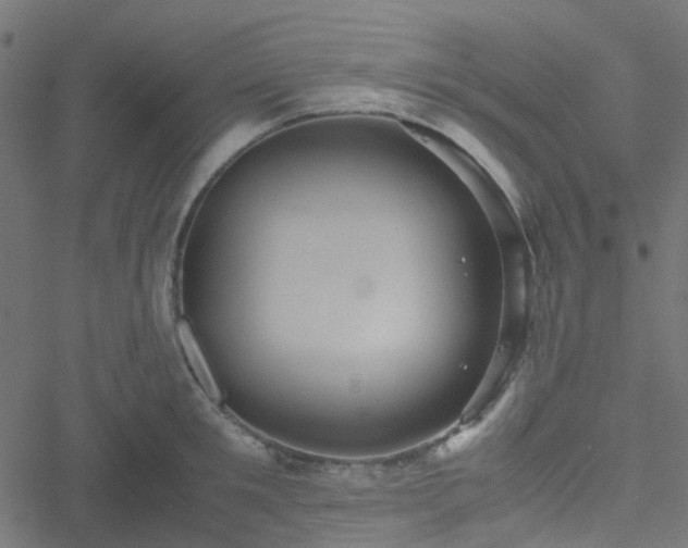 X0000051250901200506241543