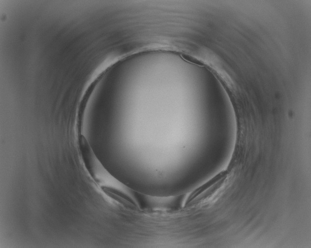 X0000051250902200506241543