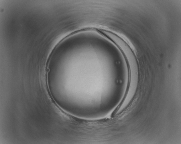 X0000051250903200506241543