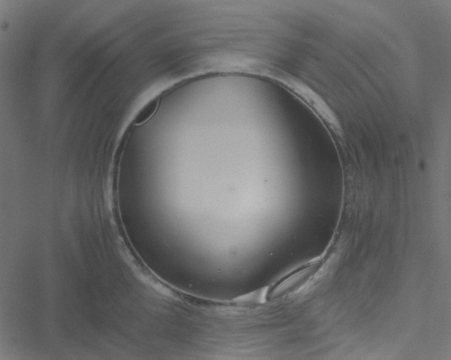 X0000051250904200506241543