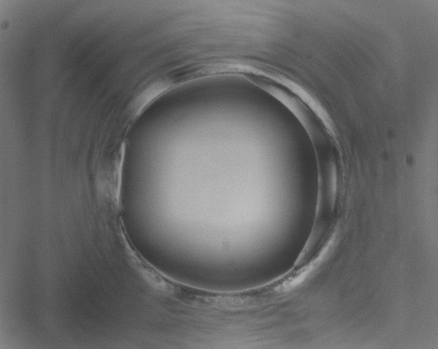 X0000051250905200506241543