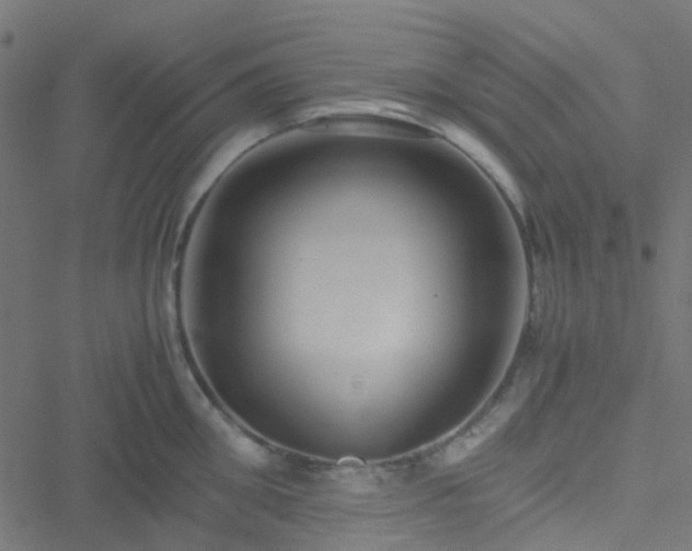 X0000051250906200506241543