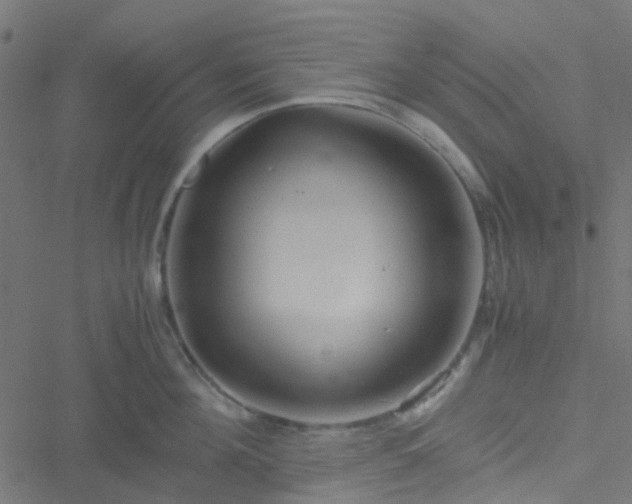 X0000051250908200506241543