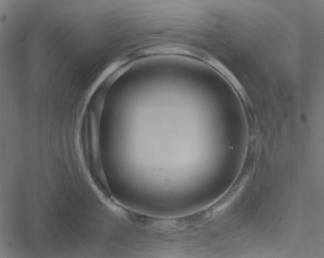 X0000051250909200506241543