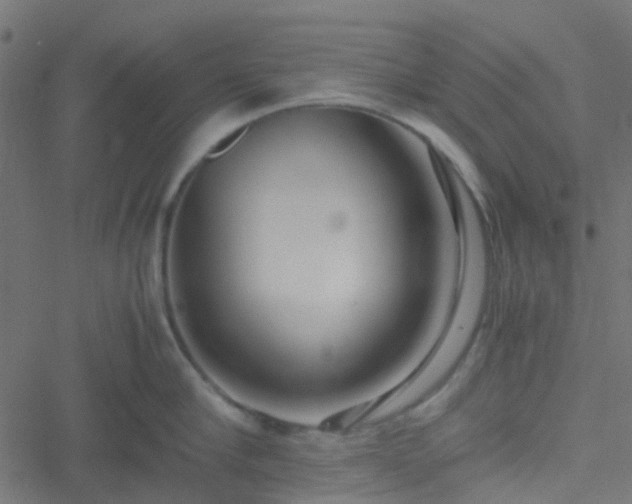 X0000051250910200506241543