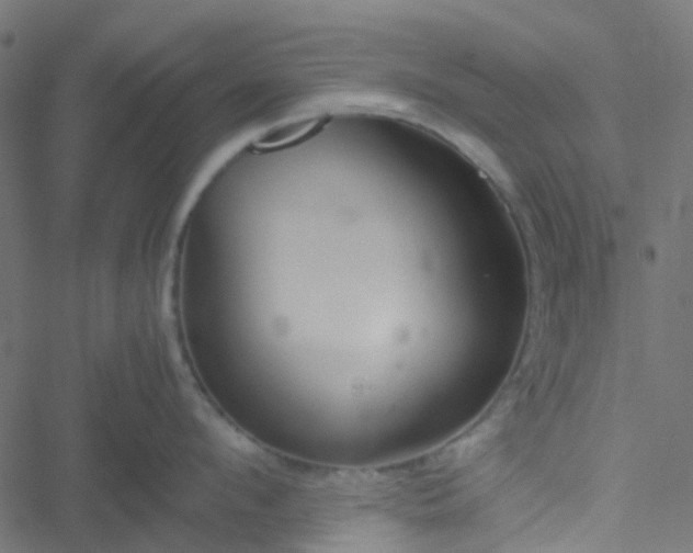 X0000051250912200506241543