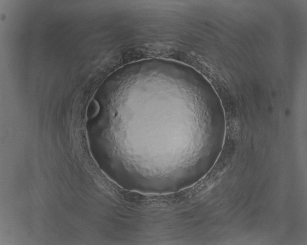 X0000051250913200506241542