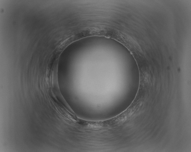 X0000051250914200506241542