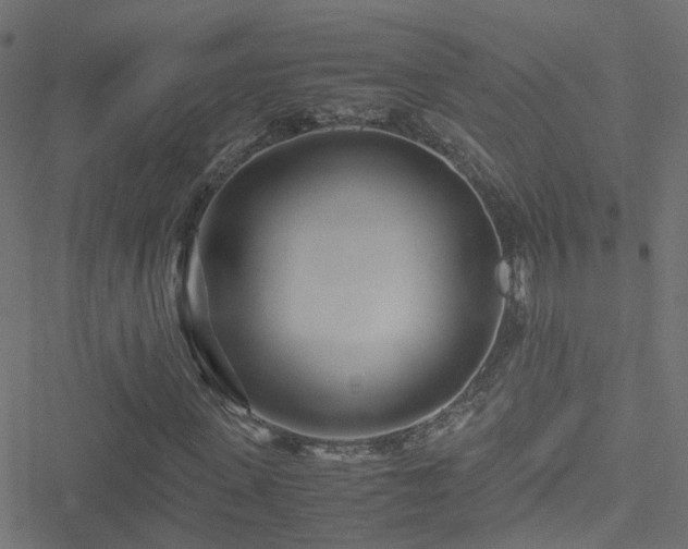 X0000051250915200506241542