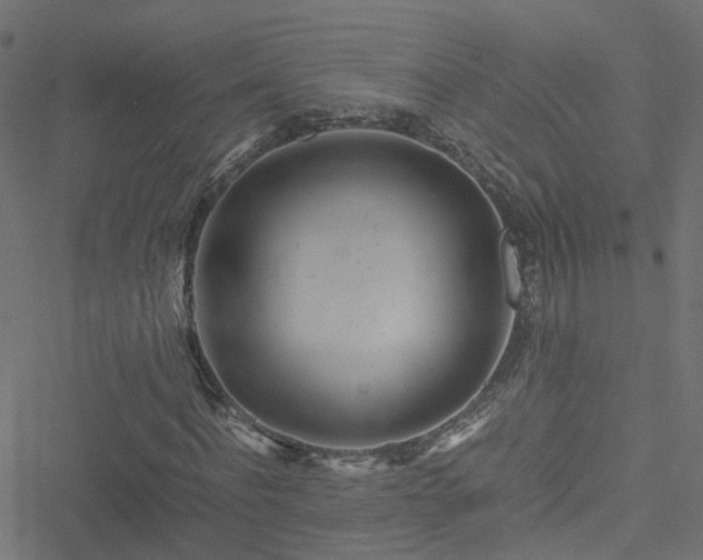 X0000051250916200506241542