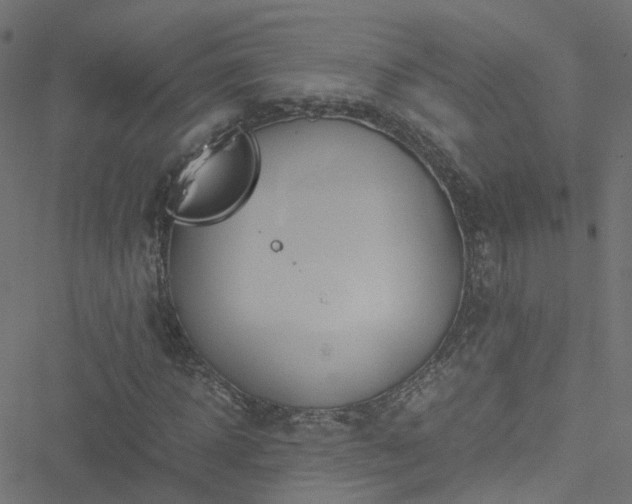 X0000051250918200506241543