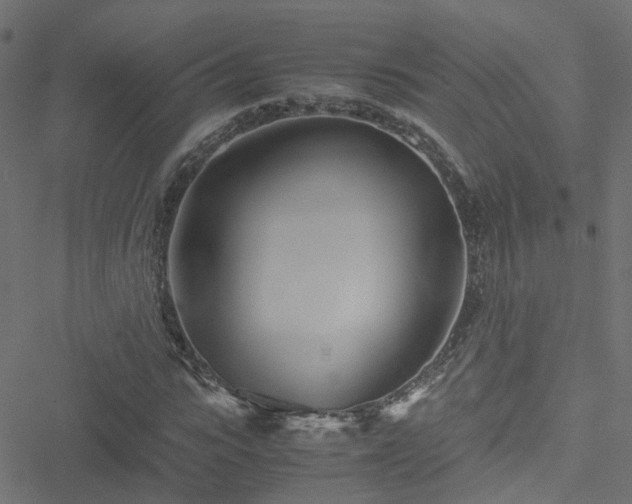 X0000051250919200506241543