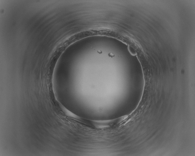 X0000051250920200506241543