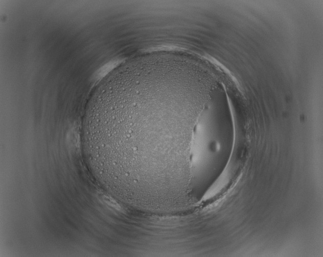 X0000051250921200506241543