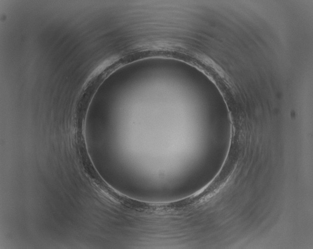 X0000051250922200506241543