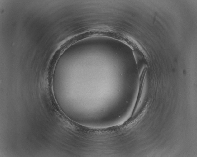 X0000051250923200506241543