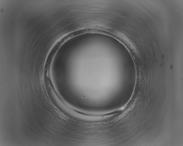 X0000051250924200506241543