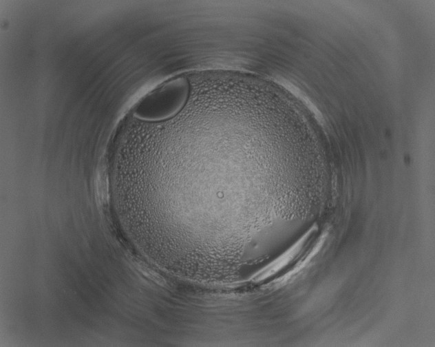 X0000051250925200506241543